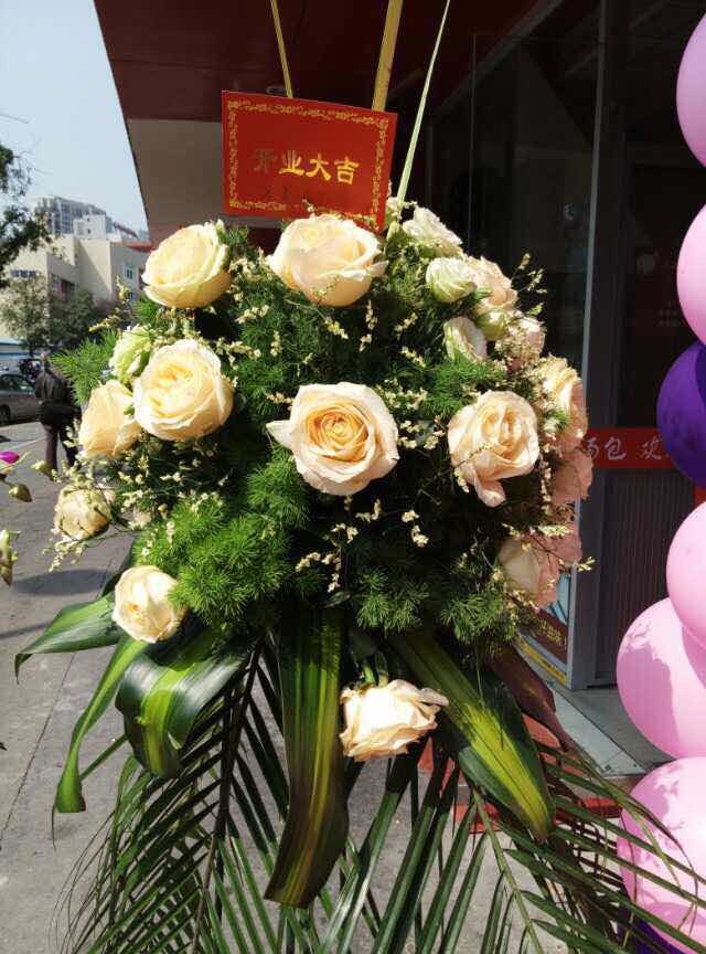 易视界囿山店成功试营业