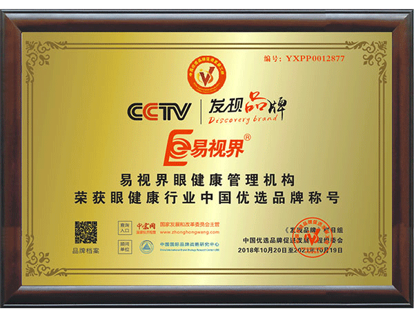 易视界实业集团被授予“中国著名品牌”荣誉称号