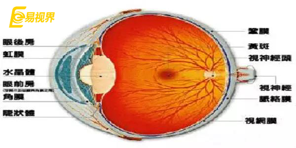 预防视网膜脱落应该注意哪些方面【易视界眼健康管理机构】