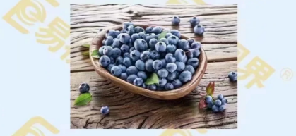 保护眼睛的水果-蓝莓