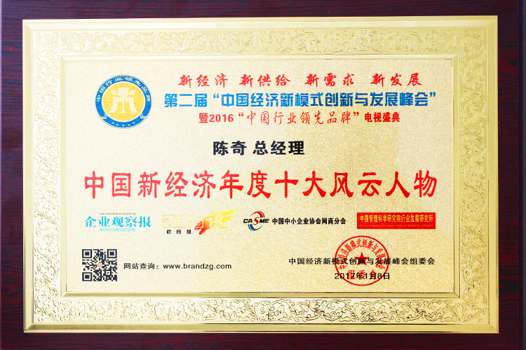 易视界总经理陈奇先生荣获中国新经济年度十大风云人物