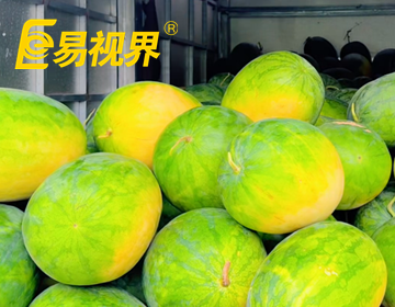 易视界,让爱看得见,让善意在行动中生长